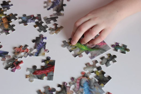 hands of the child collect puzzles games for the mind and quick wits