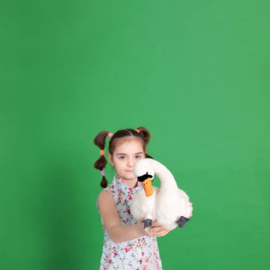 Sekiz yaşında, komik bir saç kesimi olan, çiçekli mavi bir bluz giyen, ellerinde en sevdiği yumuşak kaz oyuncağı olan komik bir kız. Bir kuğu.