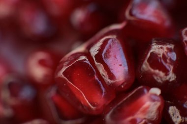 Makro fotoğraf arkaplan nar taneciği