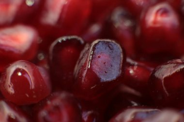Makro fotoğraf arkaplan nar taneciği