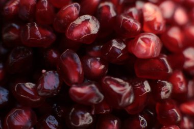 Makro fotoğraf arkaplan nar taneciği