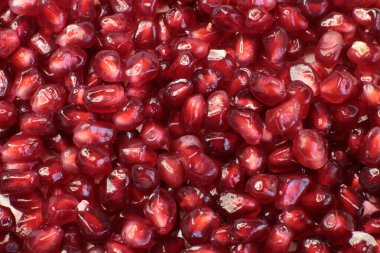 Makro fotoğraf arkaplan nar taneciği