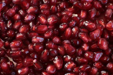 Makro fotoğraf arkaplan nar taneciği