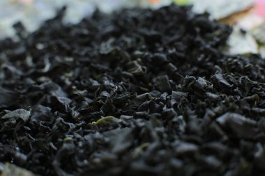 Makro fotoğraf arkaplanı Wakame yosunu