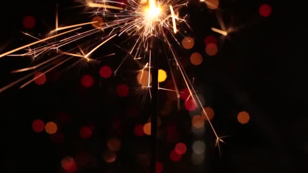 ベンガルの祭りのような輝き — ストック動画