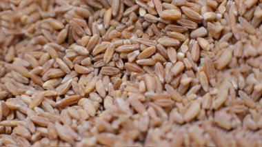 Makro fotoğraf arka planda kuru imla lapası, ideal vejetaryen yemeği.