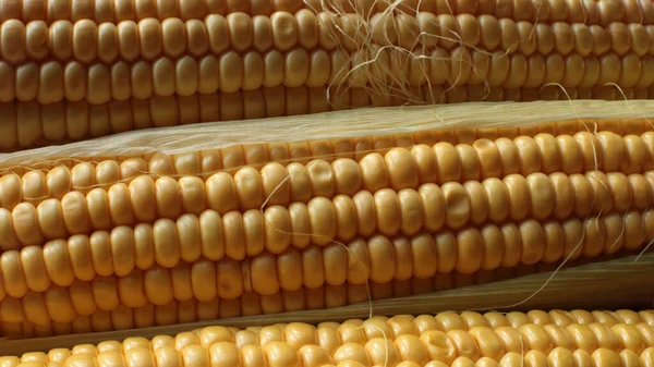 Macro Foto Suculento Milho Maduro Comida Vegetariana — Fotografia de Stock