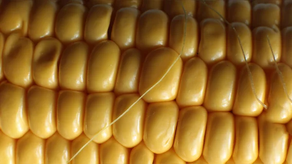 Macro Foto Suculento Milho Maduro Comida Vegetariana — Fotografia de Stock