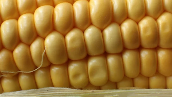 Macro Foto Suculento Milho Maduro Comida Vegetariana — Fotografia de Stock