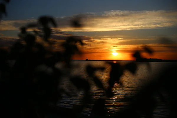 草やライ麦の海の耳に明るい美しい夕日 暗い前景 明るいカラフルな夜明け — ストック写真