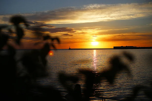 Φωτεινό Όμορφο Ηλιοβασίλεμα Στη Θάλασσα Αυτιά Του Χόρτου Και Της — Φωτογραφία Αρχείου