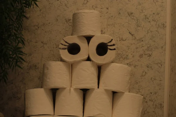 Tuvalet Kağıdıyla Yapılan Fotoğraf Şakası Tuvalet Kağıdı Stoğunu Karantinaya Aldı — Stok fotoğraf