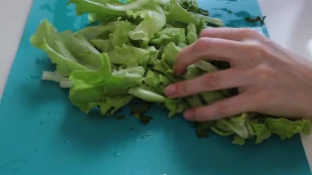 Cocine Una Deliciosa Ensalada Verduras Corte Alimentos Frescos Jugosos Mezcle — Vídeos de Stock