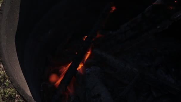 Burning Fire Beautiful Bright Flame — Stock Video