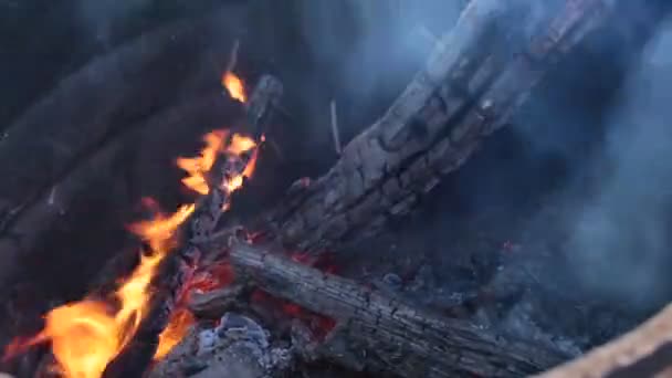 Fogo Ardente Bela Chama Brilhante — Vídeo de Stock