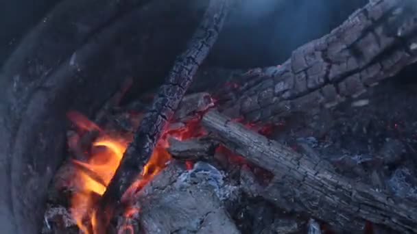 Fuego Ardiente Hermosa Llama Brillante — Vídeos de Stock