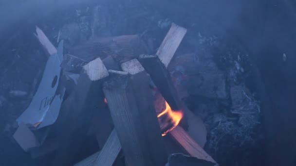 Membakar Api Yang Indah Terang — Stok Video
