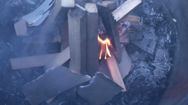 Brandend Vuur Mooie Heldere Vlam — Stockvideo