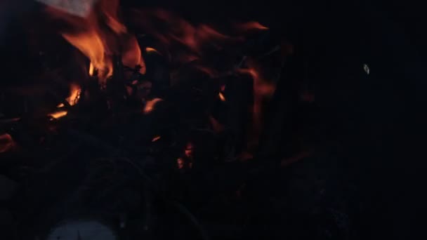 Burning Fire Beautiful Bright Flame — Stock Video