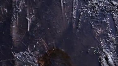 Lastik çizmeli bir adamın ayakları çamurda yürür.
