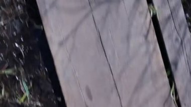 Lastik çizmeli bir adamın ayakları çamurda yürür.