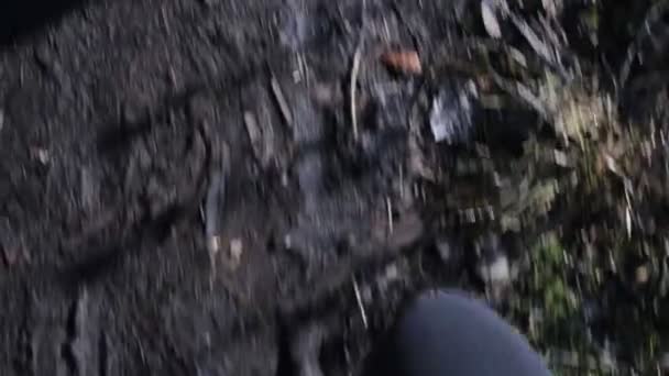 穿着橡胶靴的人的脚在泥泞中行走 — 图库视频影像