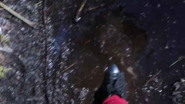 Piedi Uomo Con Gli Stivali Gomma Camminano Nel Fango — Video Stock