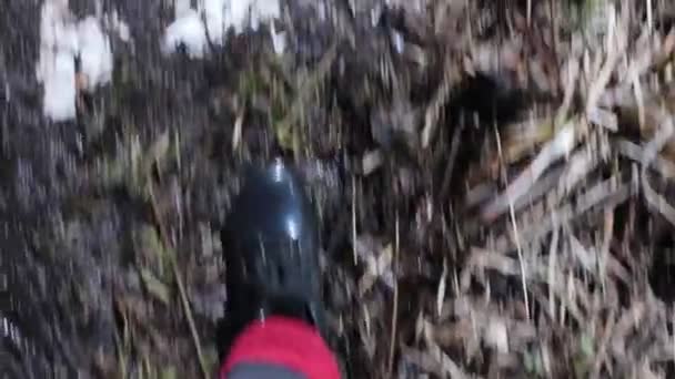 Piedi Uomo Con Gli Stivali Gomma Camminano Nel Fango — Video Stock