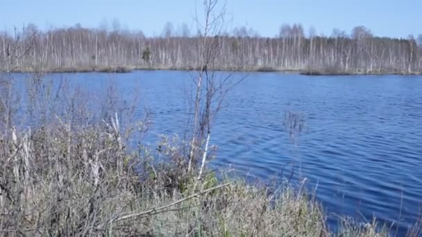 Пейзаж Озера Красивая Голубая Вода — стоковое видео