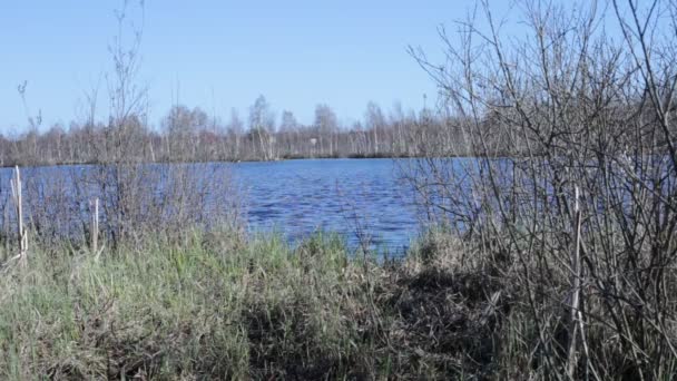湖畔的风景美丽的蓝水 — 图库视频影像