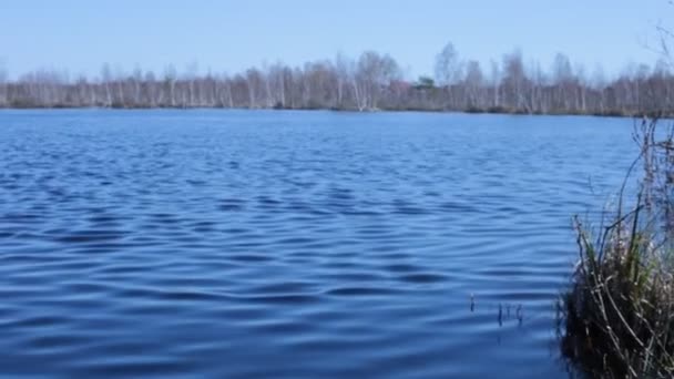 Krajina Jezera Krásná Modrá Voda — Stock video