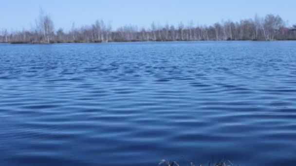Göl Kenarındaki Manzara Güzel Mavi — Stok video