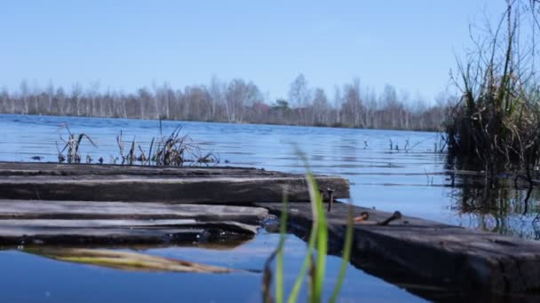 Paysage Bord Lac Belle Eau Bleue — Video