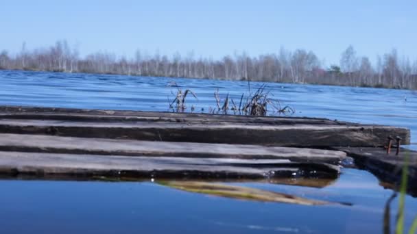 Paysage Bord Lac Belle Eau Bleue — Video