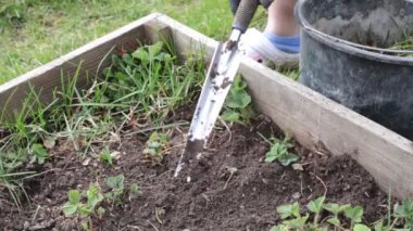 Yatakları temizleyin, otları ve otları temizleyin.