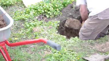 Arazili bir bahçede çalışmak.