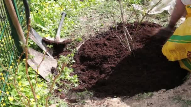 Trabajar Jardín Con Tierra — Vídeos de Stock