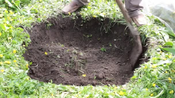 Lavoro Giardino Con Terreno — Video Stock