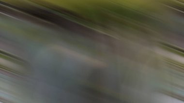 serin gri arkaplan ışık grafikleri, güzel soyut parlak sulu gradyan