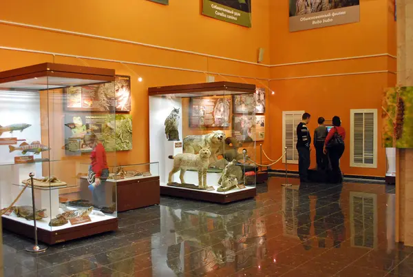 モスクワだ ロシアだ 2012年1月23日 国立動物学ダーウィン博物館 博物館の展示品のショーケース ガラスの後ろにぬいぐるみ — ストック写真