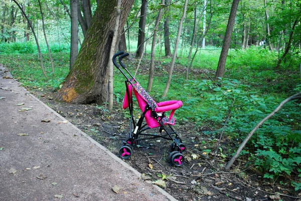 Bastón Bebé Olvidado Encuentra Junto Sendero Peatonal Parque Forestal Verano — Foto de Stock