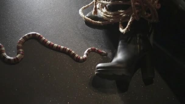 serpent rampant sur le sol 
