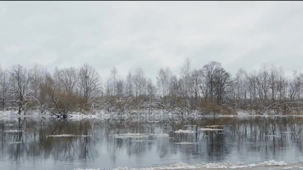 Eis schwimmt auf dem Fluss — Stockvideo