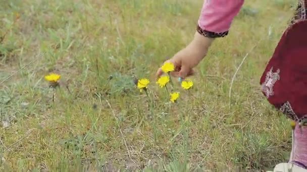 Küçük kız sahada oynuyor — Stok video
