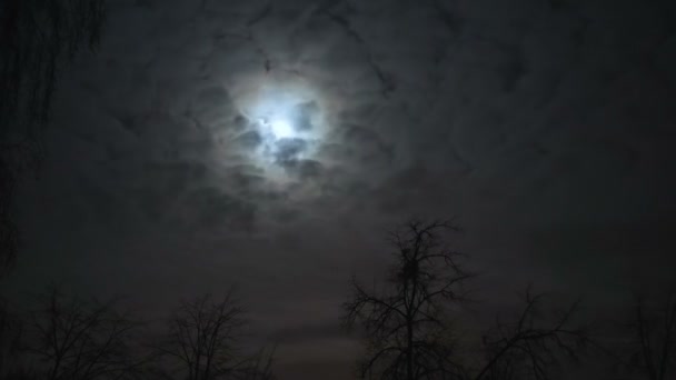 Luna llena en el cielo nocturno detrás de las nubes — Vídeos de Stock