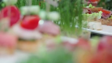 aperatifler büfe için