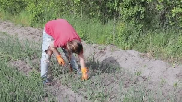 Vrouw die met een schoffel in de tuin werkt — Stockvideo