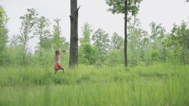 Liten flicka promenader genom en glänta i skogen — Stockvideo