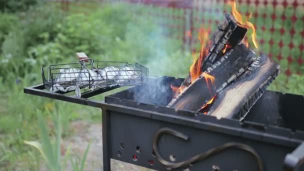 Pescado cocido en la parrilla — Vídeo de stock