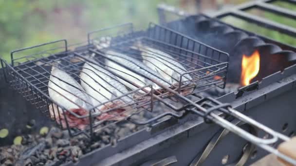 Pescado cocido en la parrilla — Vídeos de Stock